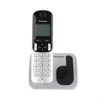 pấnonic210